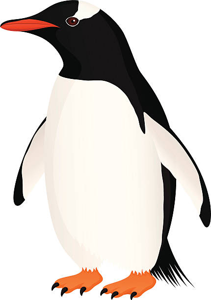Adelie Penguin clipart #2, Download drawings