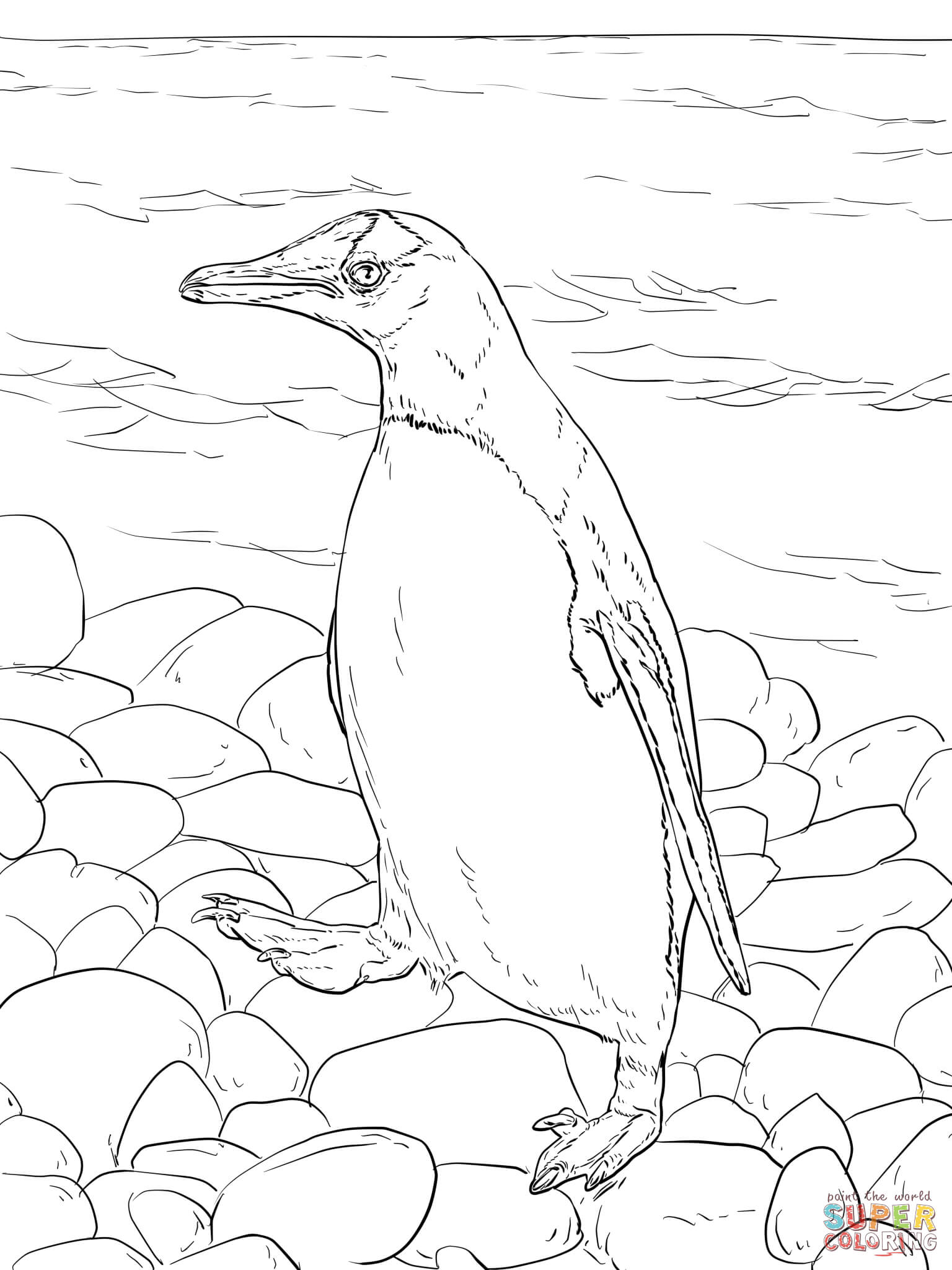 Adelie Penguin coloring #3, Download drawings