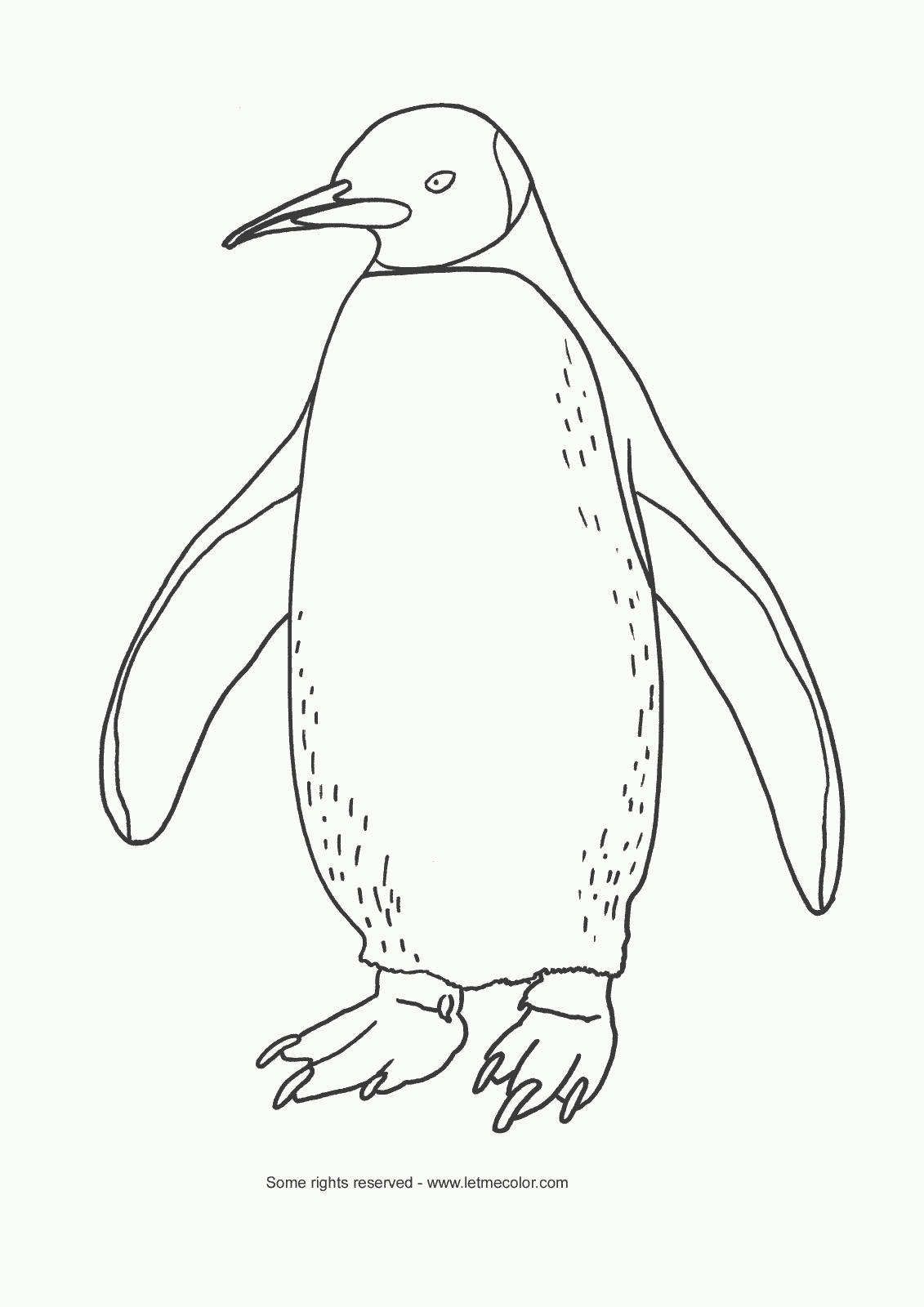 King Emperor Penguins coloring #2, Download drawings