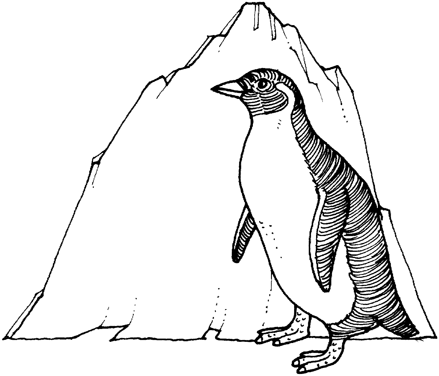 Adelie Penguin coloring #5, Download drawings