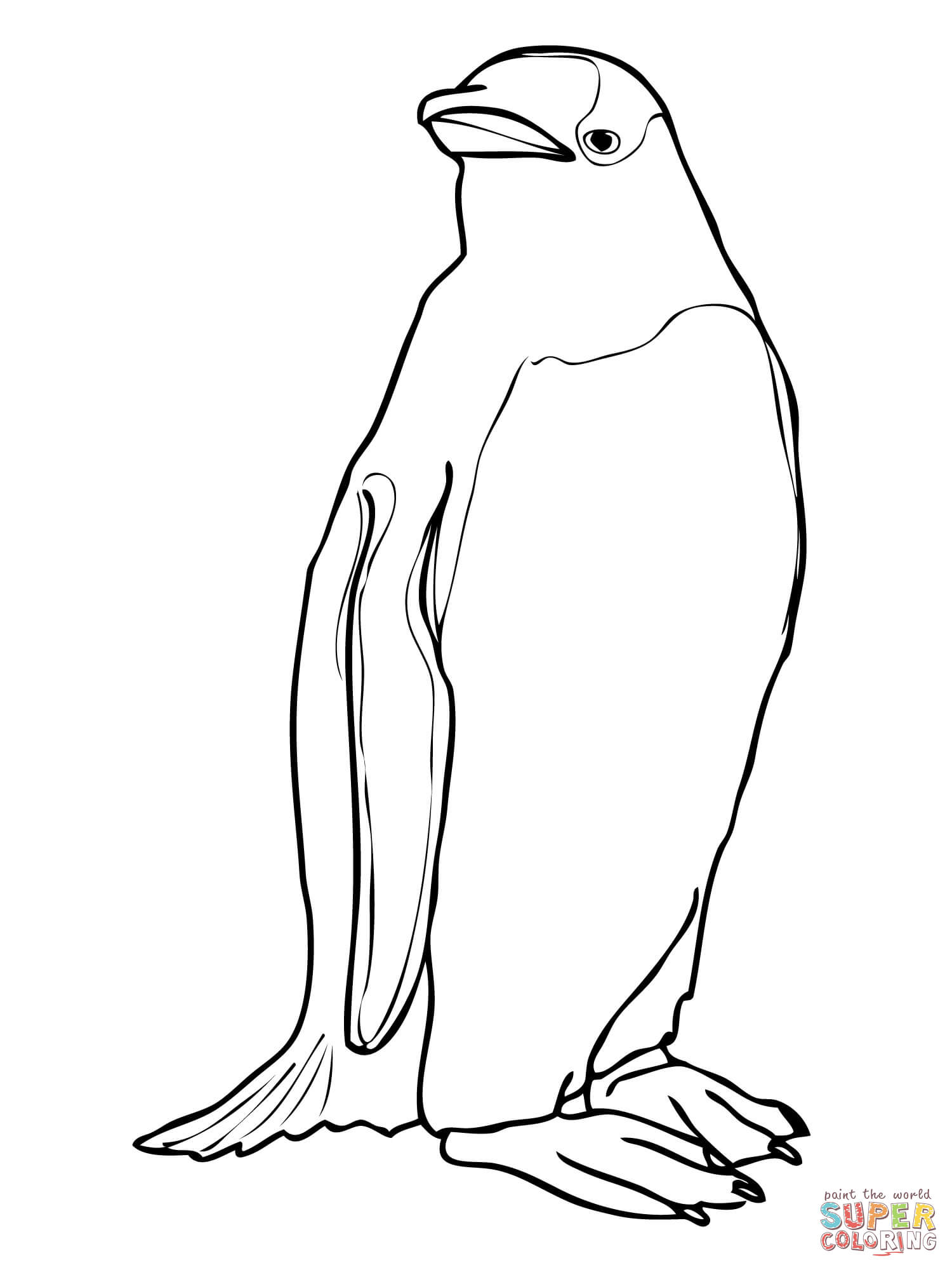 Adelie Penguin coloring #7, Download drawings