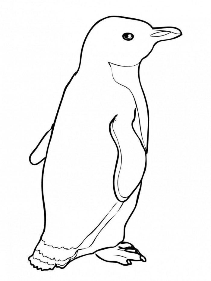 Emperor Penguin coloring #1, Download drawings