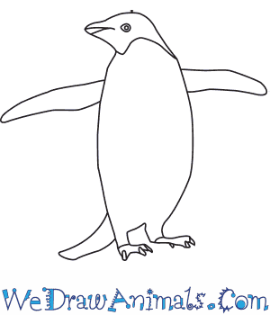 Adelie Penguin coloring #19, Download drawings