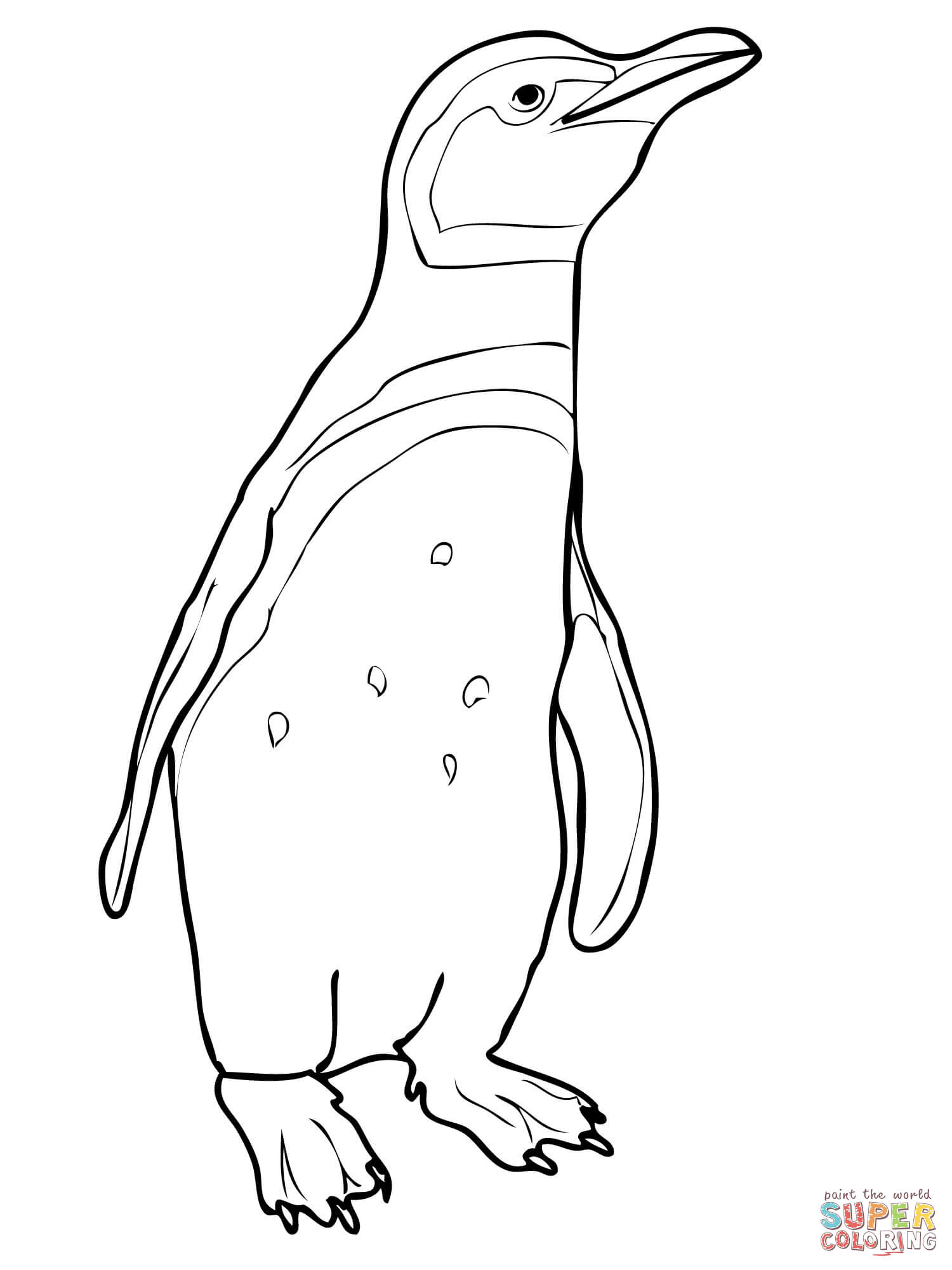 Adelie Penguin coloring #18, Download drawings