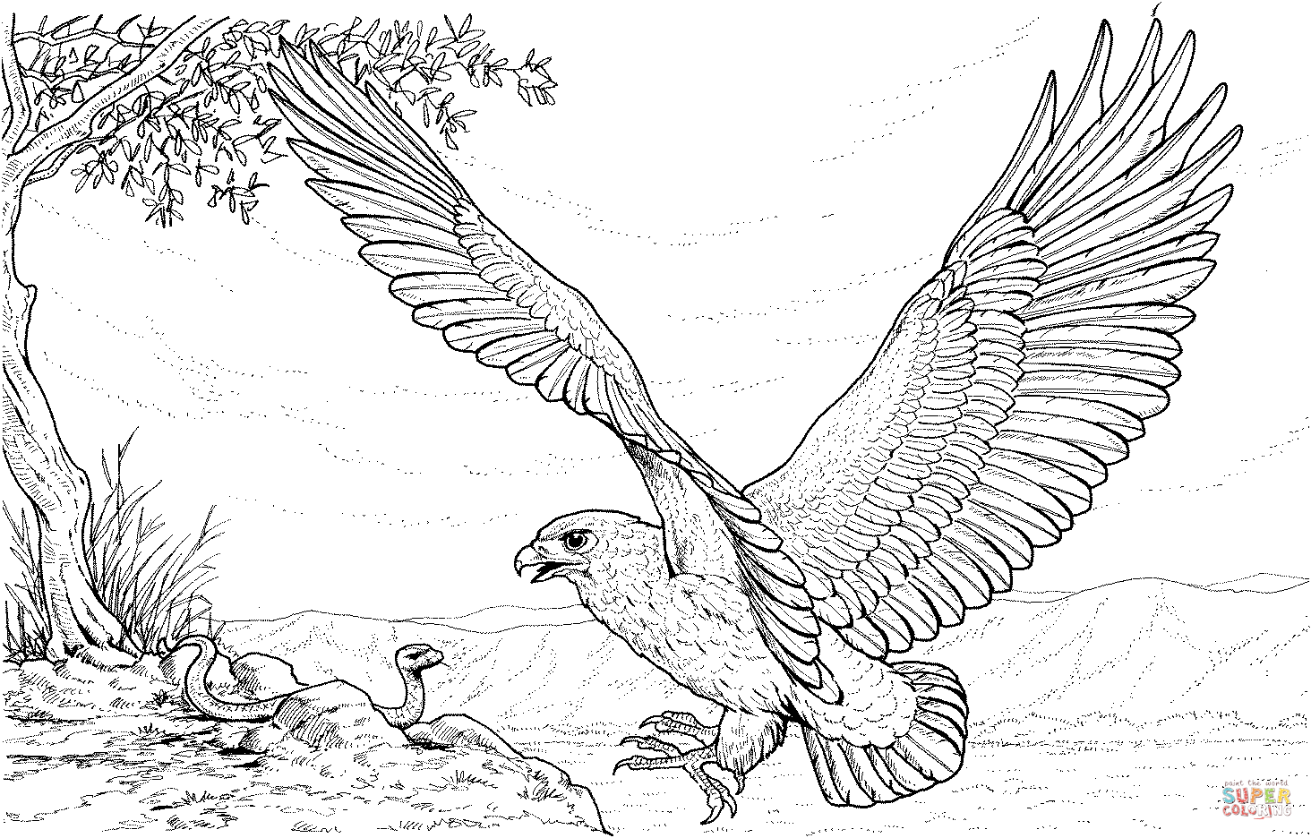 Adler coloring #5, Download drawings