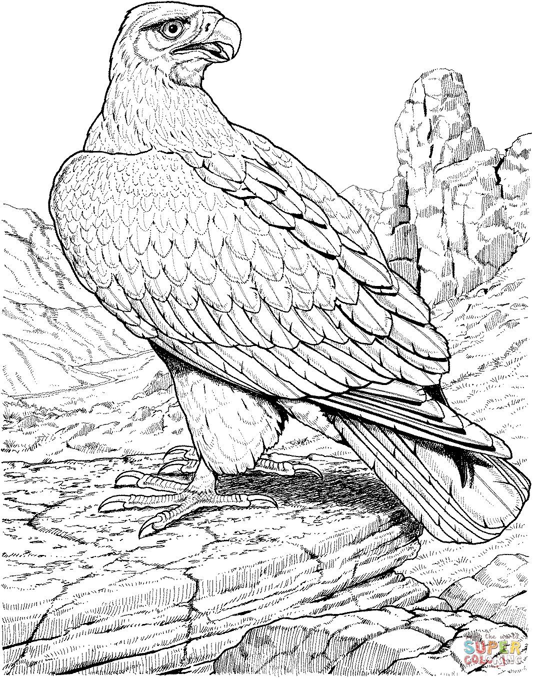 Adler coloring #11, Download drawings