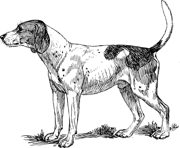 Hound svg #18, Download drawings