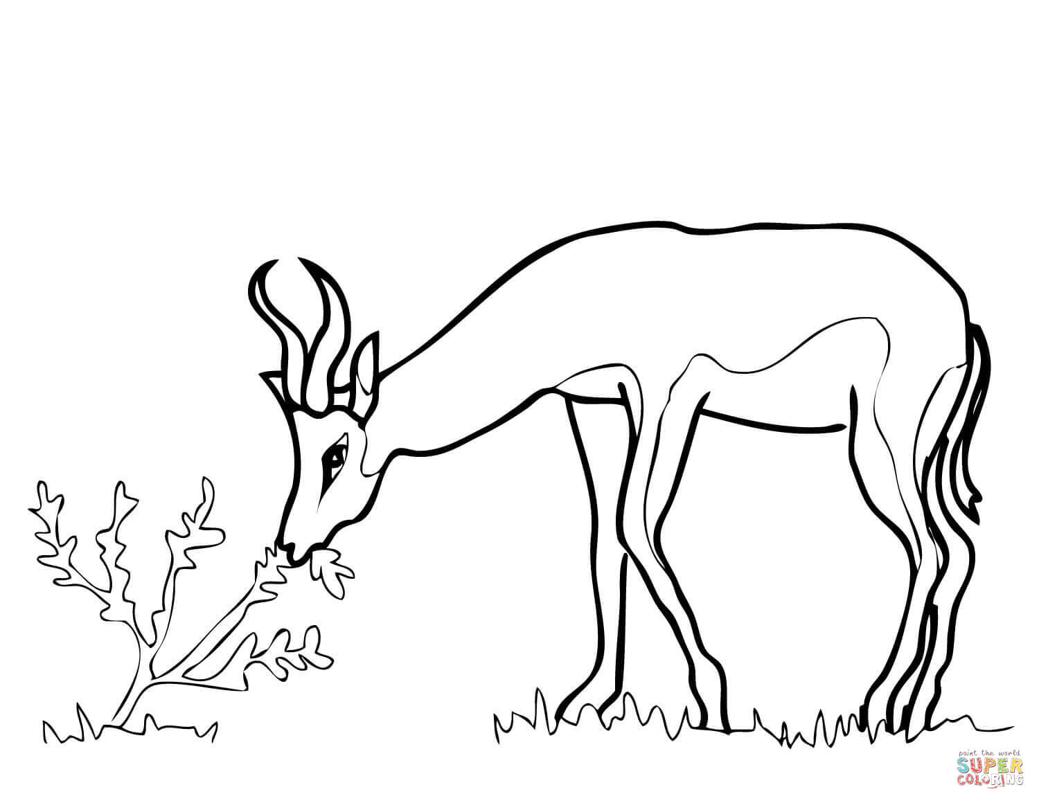 Springbok coloring #17, Download drawings