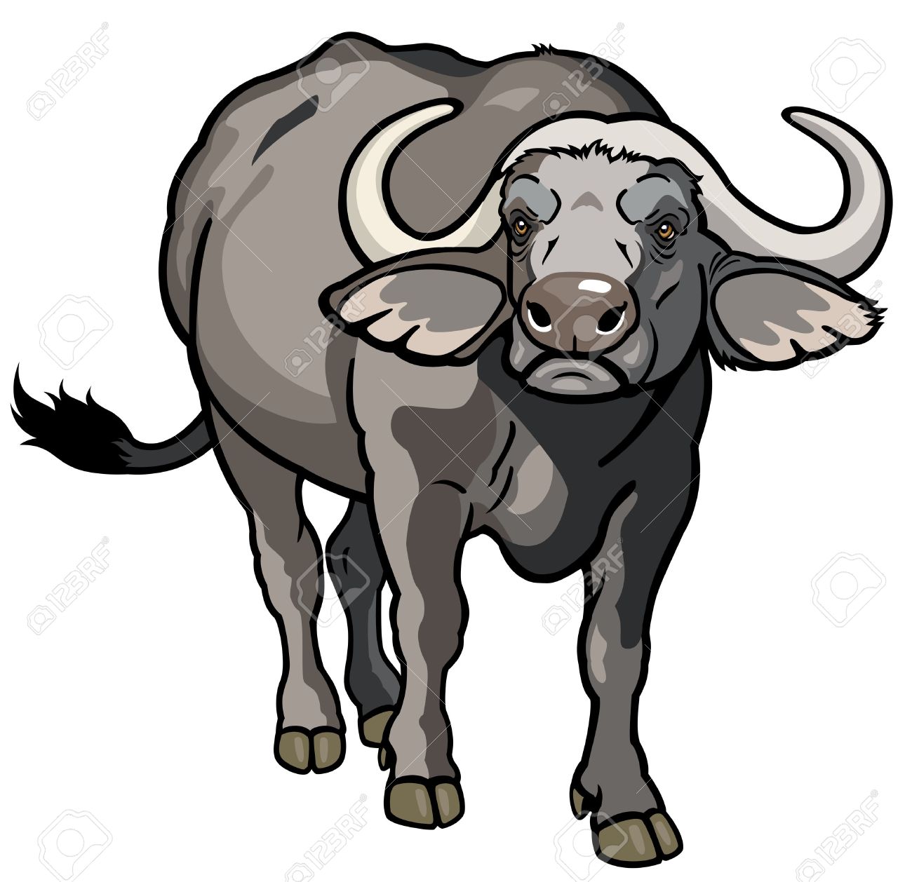 African Buffalo clipart #18, Download drawings