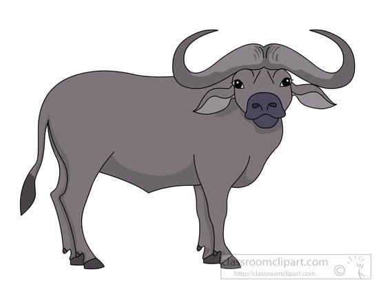 African Buffalo clipart #20, Download drawings