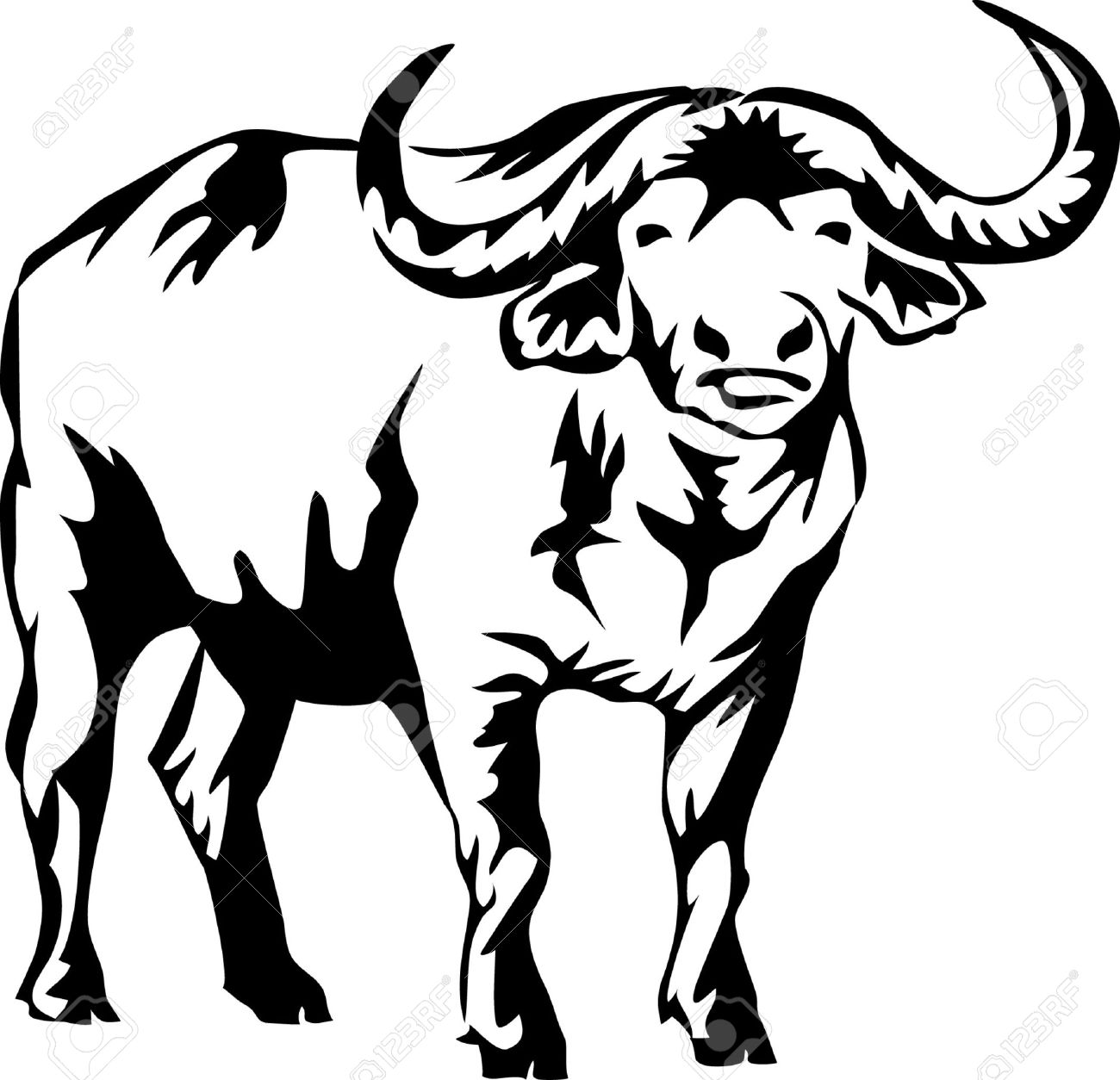 African Buffalo clipart #16, Download drawings