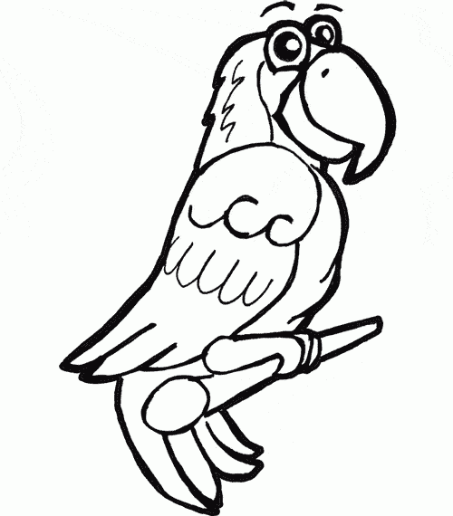 African Parrot coloring #14, Download drawings