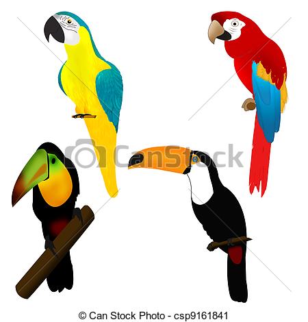 African Parrot clipart #13, Download drawings