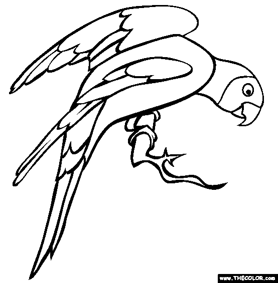 African Parrot coloring #4, Download drawings