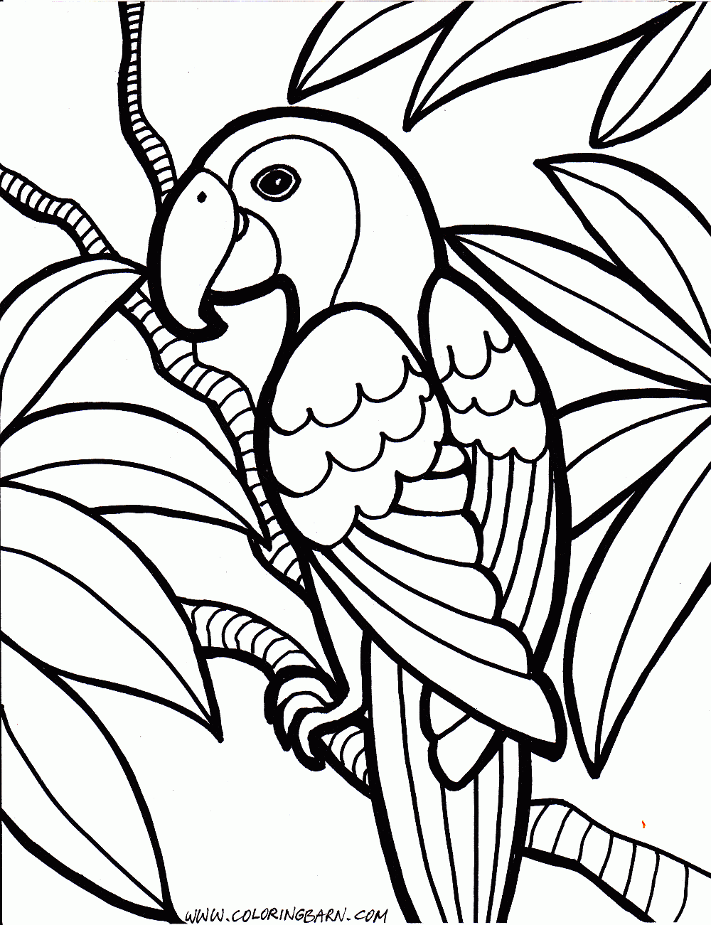 African Parrot coloring #17, Download drawings