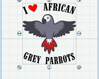 African Parrot svg #5, Download drawings
