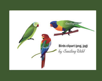 African Parrot svg #3, Download drawings