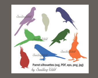 African Parrot svg #15, Download drawings