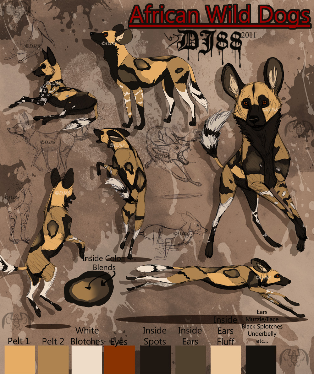 African Wild Dog coloring #19, Download drawings