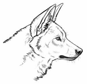 African Wild Dog svg #14, Download drawings