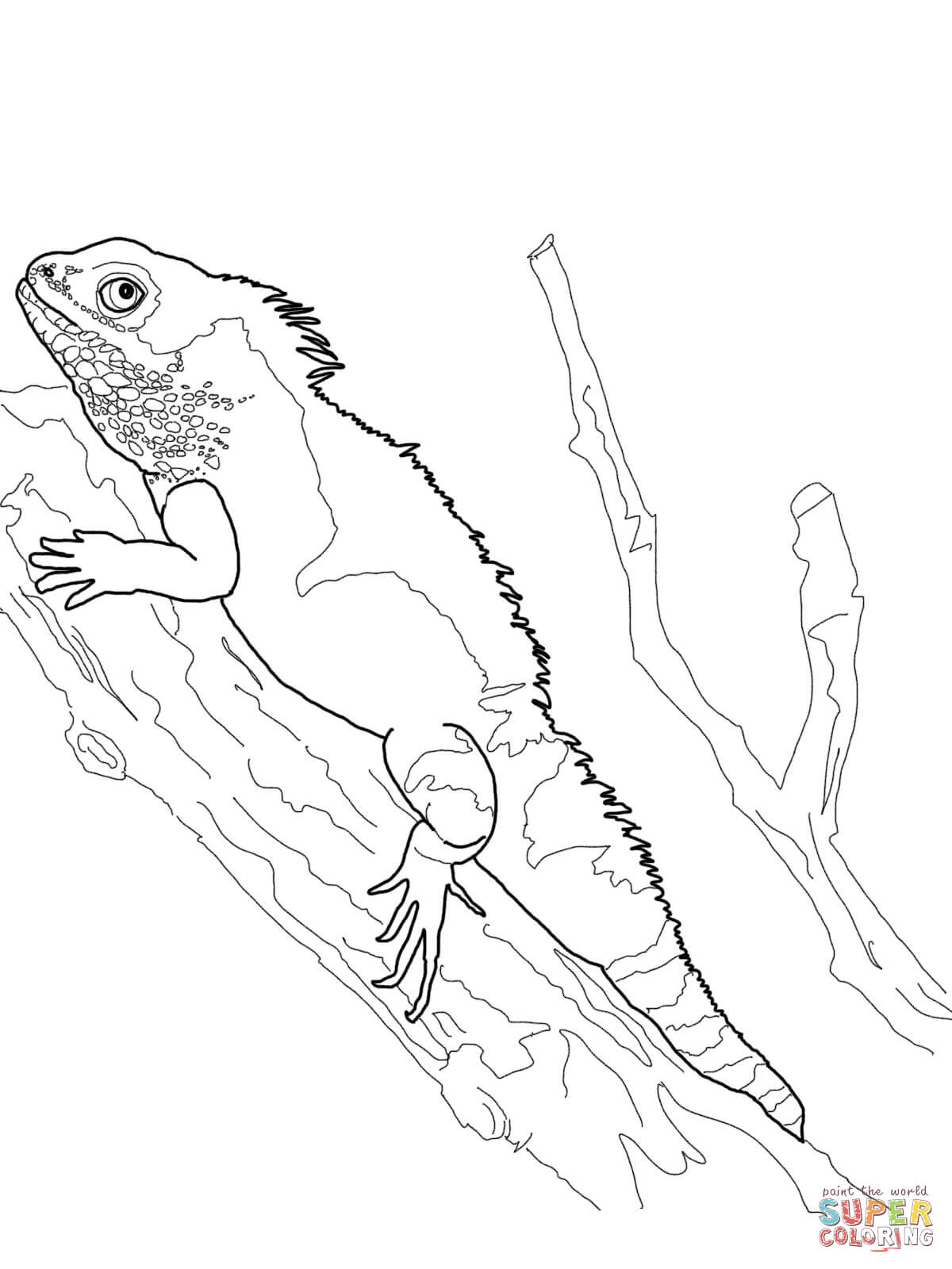 Eastern Water Dragon coloring #9, Download drawings