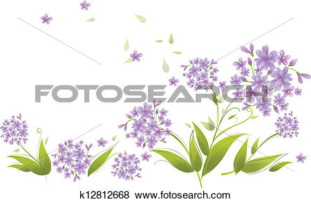 Agapanthus clipart #7, Download drawings