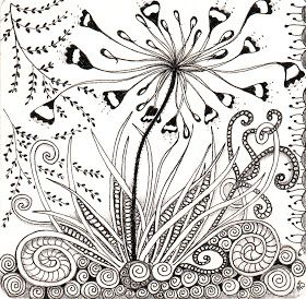 Agapanthus coloring #9, Download drawings