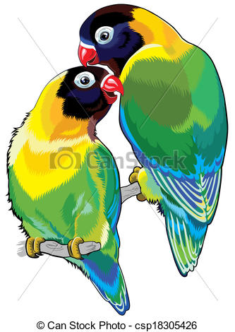 Agapornis clipart #18, Download drawings