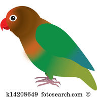 Agapornis clipart #7, Download drawings