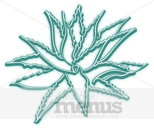Agave clipart #3, Download drawings