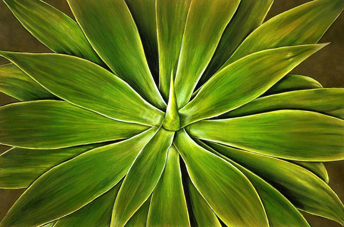 Agave coloring #7, Download drawings