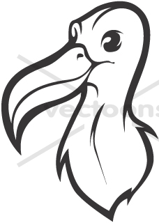 Albatross clipart #8, Download drawings