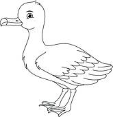 Albatross coloring #16, Download drawings