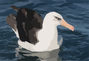 Albatross svg #10, Download drawings