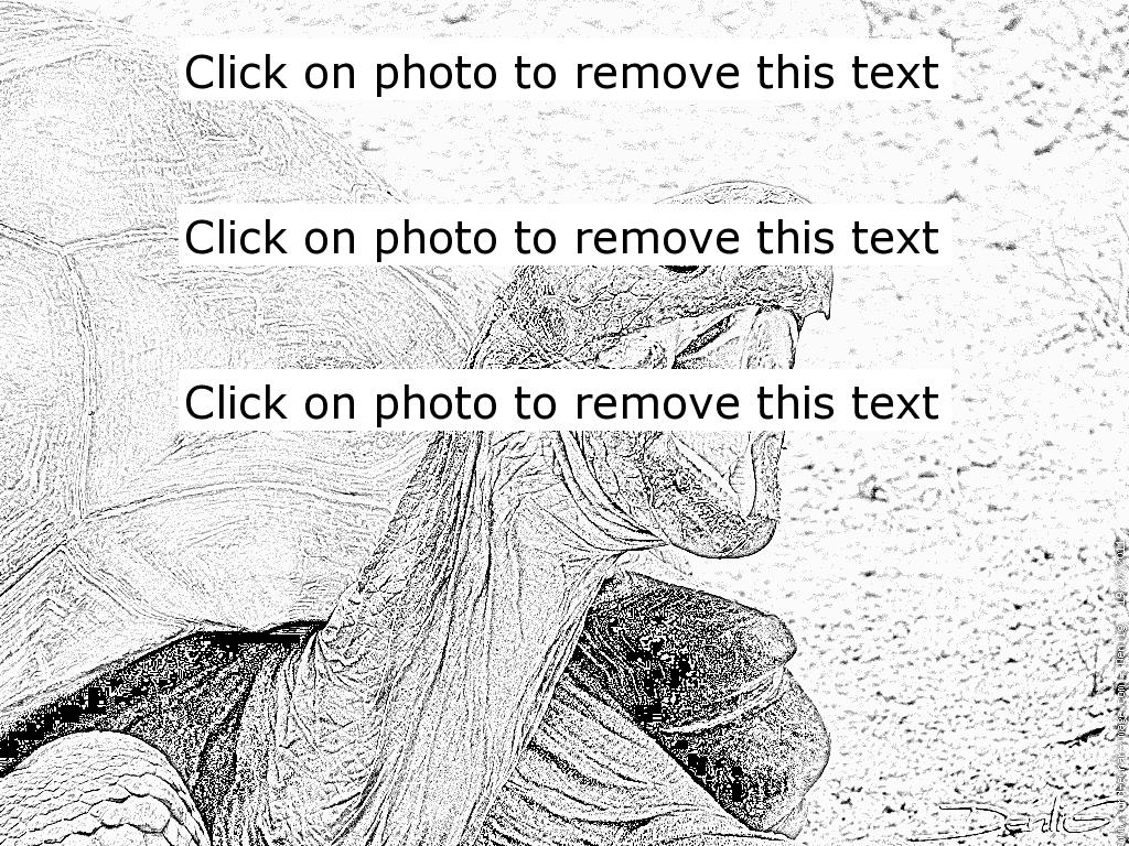 Aldabra Giant Tortoise coloring #2, Download drawings