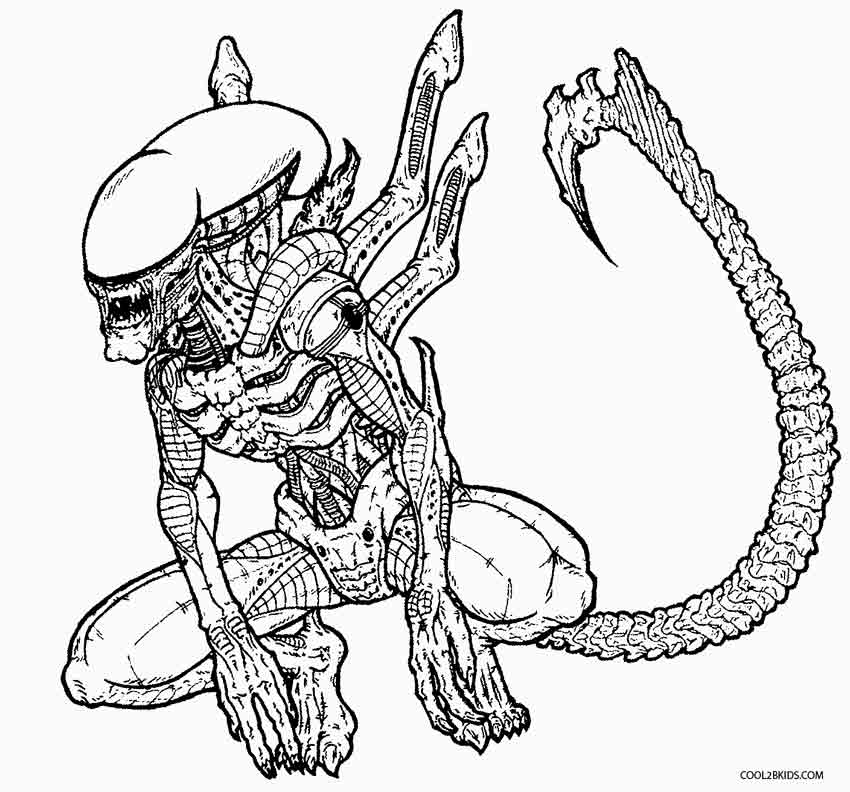 Predator coloring #13, Download drawings