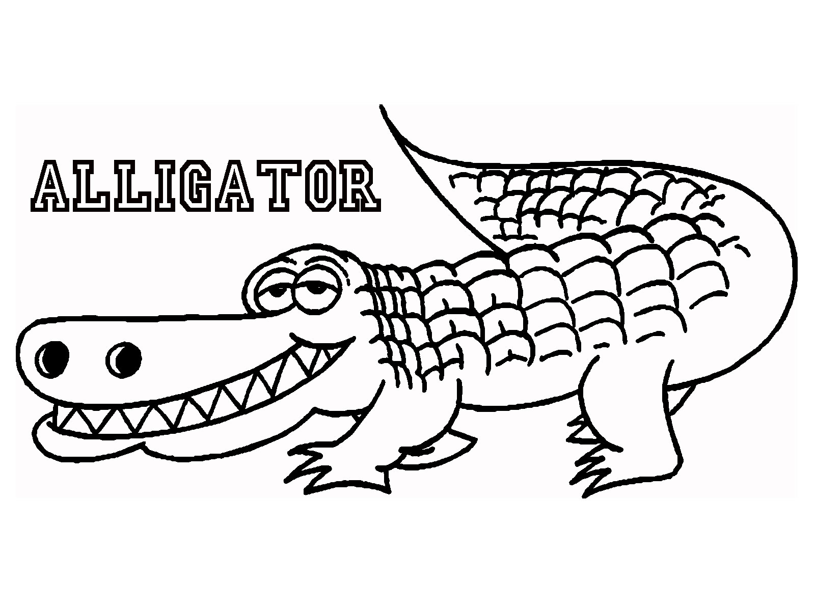 Alligator coloring #7, Download drawings