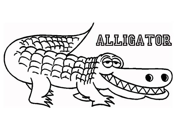 Alligator coloring #4, Download drawings