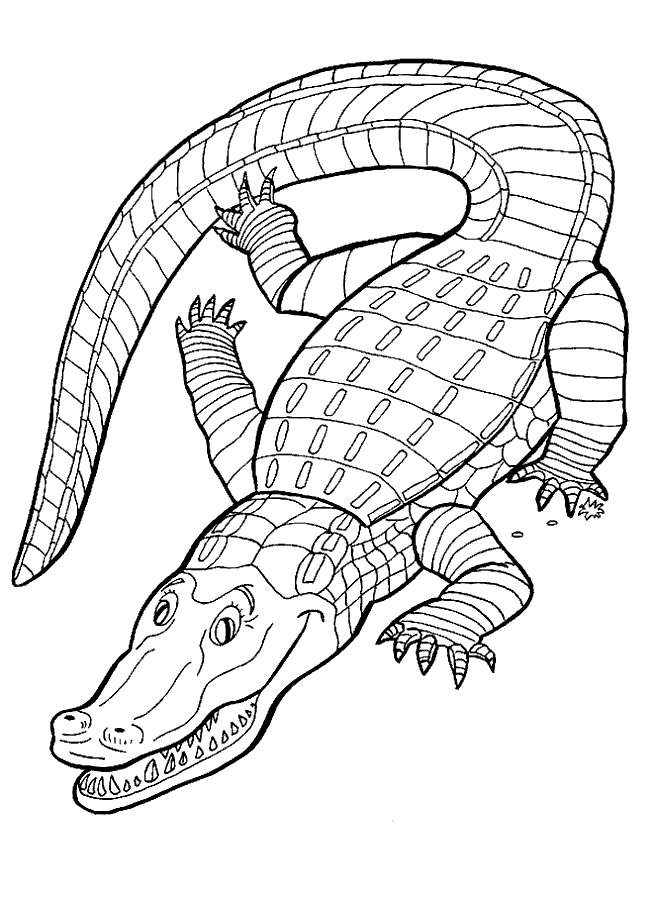 Alligator coloring #9, Download drawings