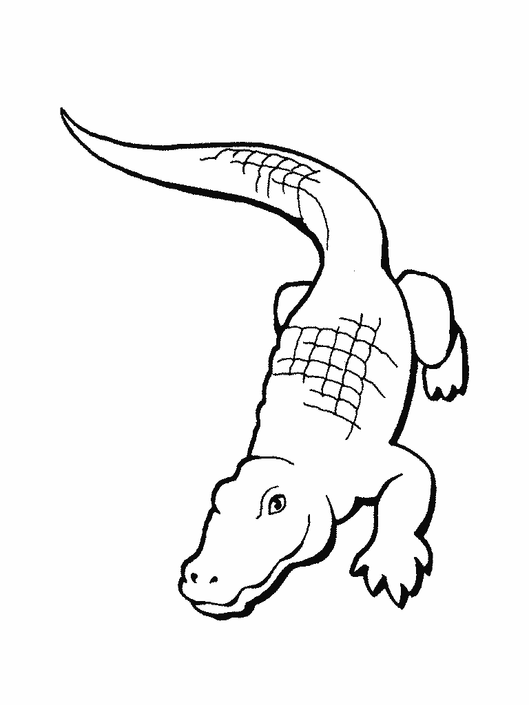 Alligator coloring #18, Download drawings