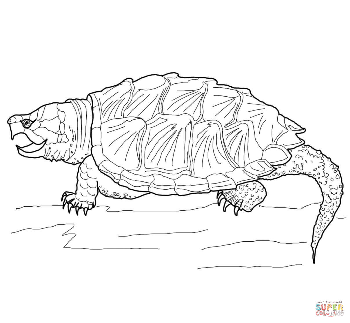 Alligator Snapping Turtle clipart #2, Download drawings