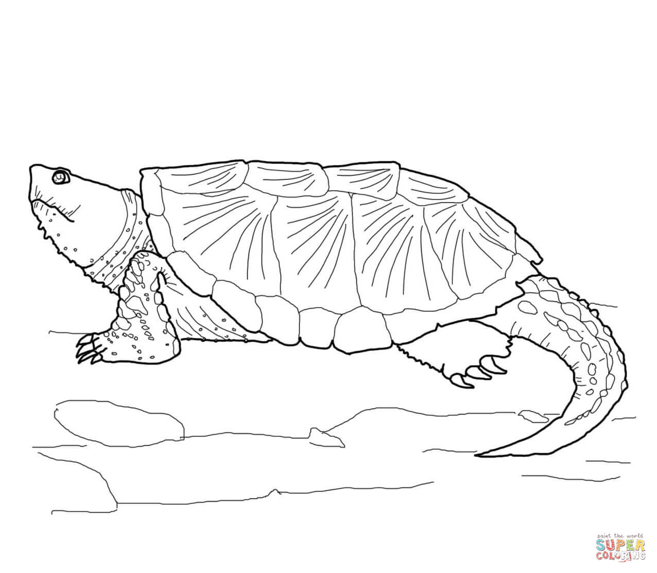 Alligator Snapping Turtle coloring #9, Download drawings