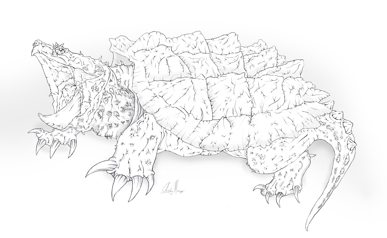 Alligator Snapping Turtle coloring #7, Download drawings