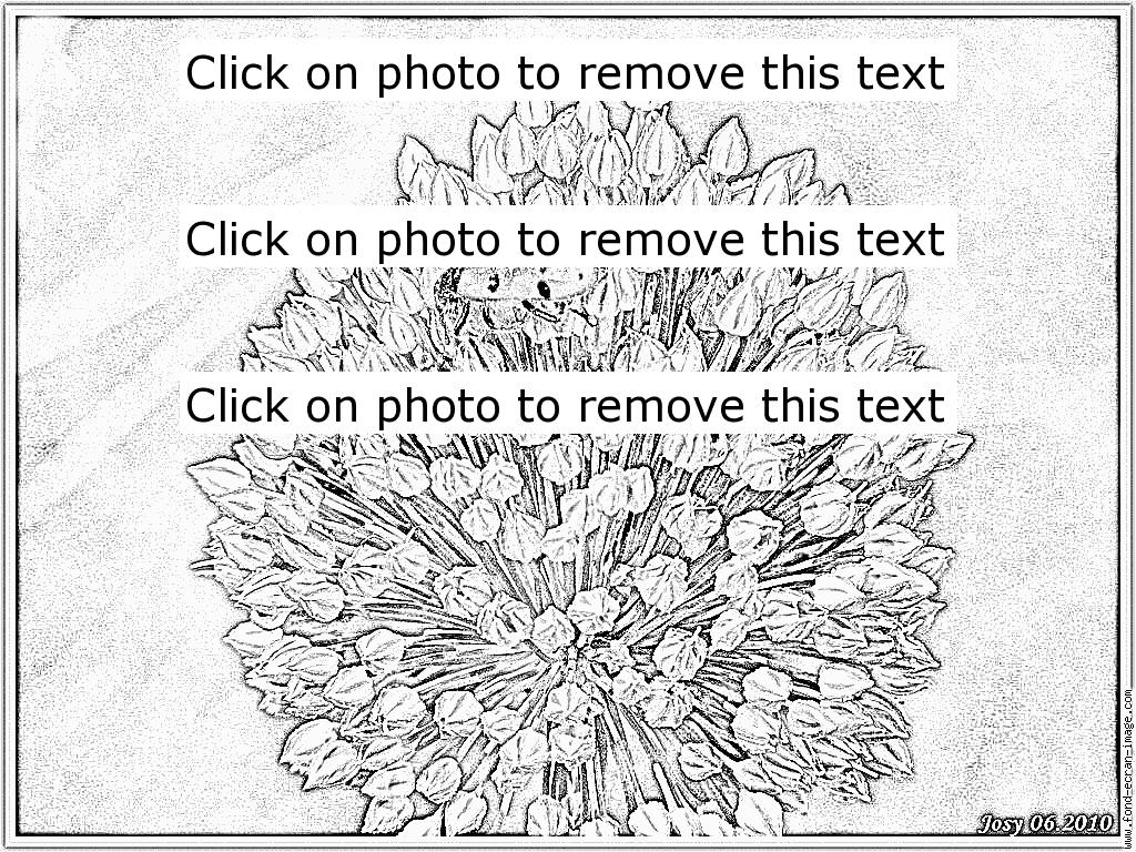 Allium coloring #18, Download drawings