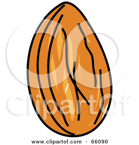 Almond clipart #10, Download drawings