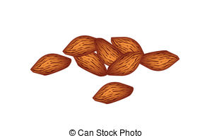Almond clipart #12, Download drawings
