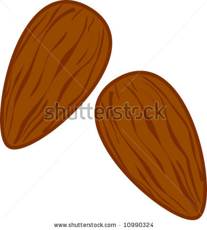 Almond clipart #20, Download drawings