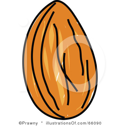 Almond clipart #19, Download drawings