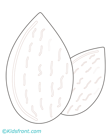 Almond coloring #20, Download drawings