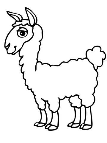 Alpaca coloring #8, Download drawings